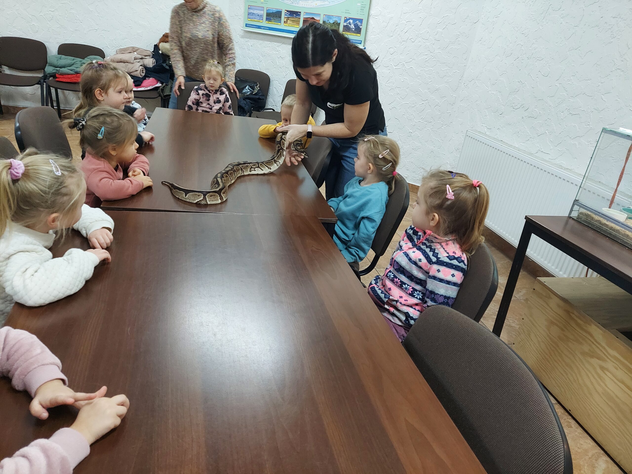 Stokrotki na warsztatach w ogrodzie zoologicznym cd.